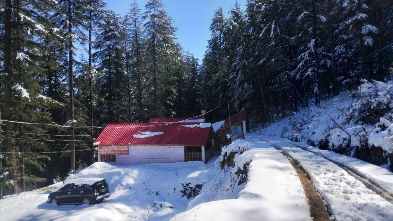 Matri Pitri Cottage Matiana Dış mekan fotoğraf