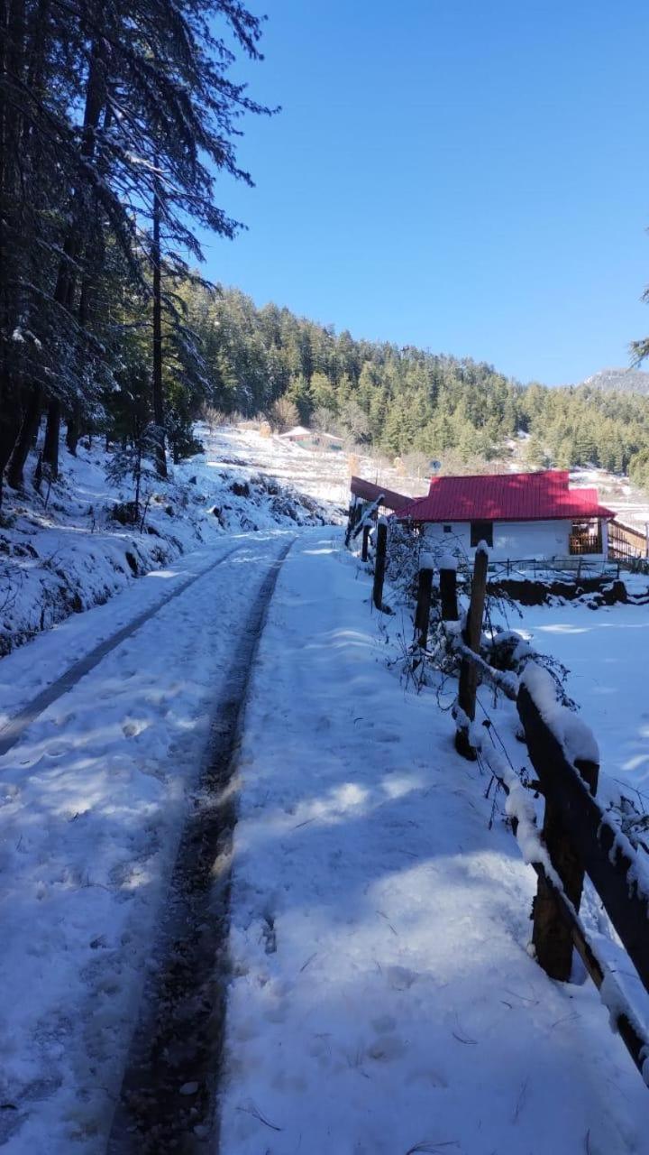 Matri Pitri Cottage Matiana Dış mekan fotoğraf